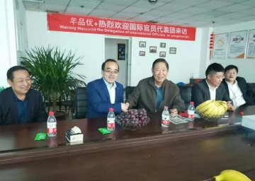 羊品优控股有限公司，热烈欢迎国际官员代表团来访！