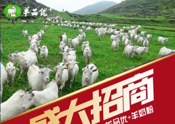 羊奶粉加盟前景，市场分析报告——羊品优羊奶粉，引领未来商机